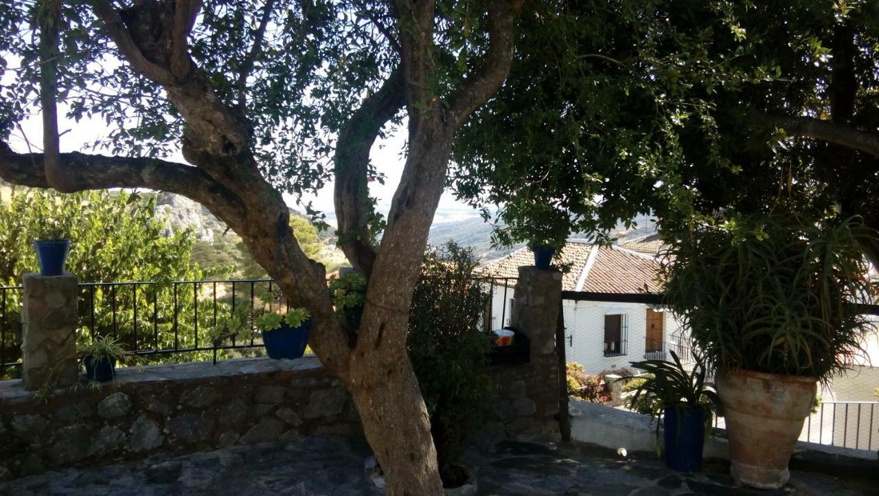 Don Claudio Grazalema Exterior foto